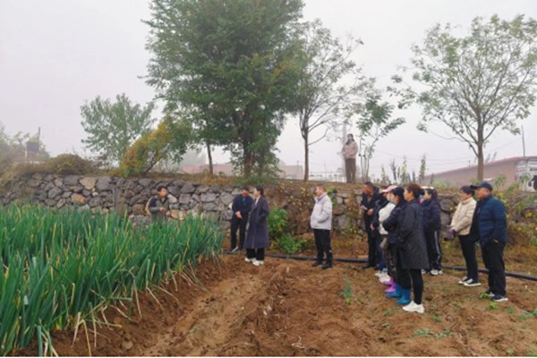 传经！葱香四溢田野间，种植妙技送身边