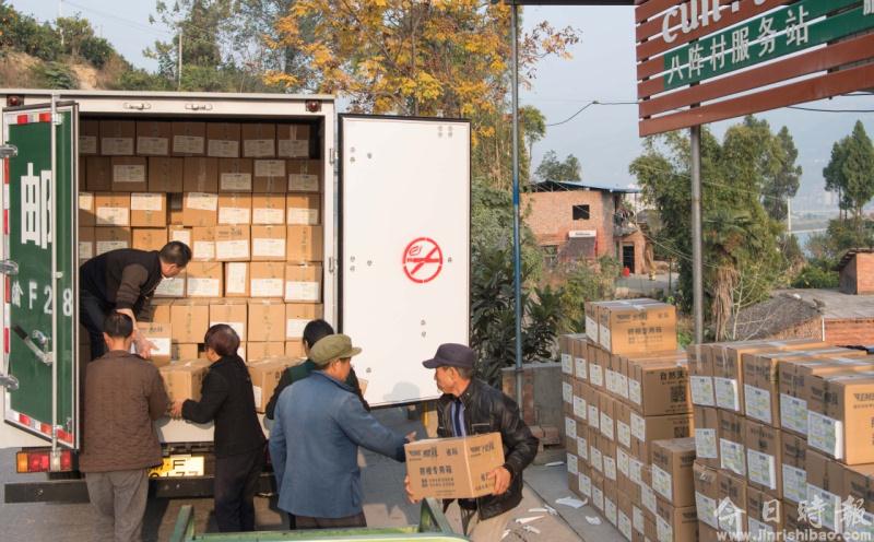 重庆奉节：电子商务助力脐橙外销