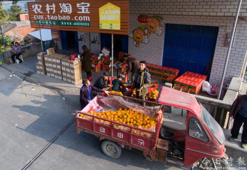 重庆奉节：电子商务助力脐橙外销