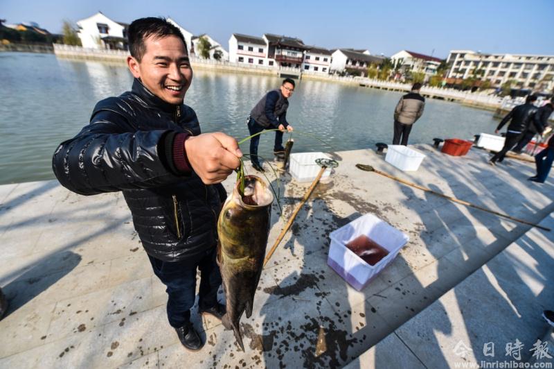 江南水乡“农事收获节”迎新年