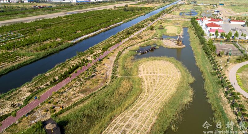 河北黄骅：“引湿地入园”打造节约型生态城市