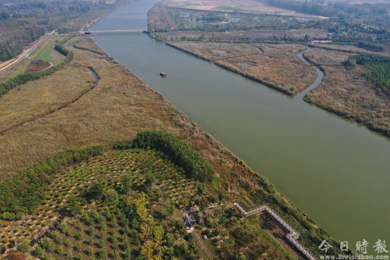 江苏徐州：黄河故道变身湿地公园