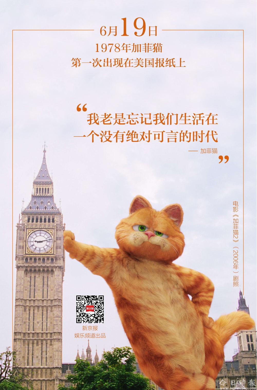 这只贪吃又爱说风凉话的猫，就是我们内心的写照丨日签 - 娱乐 - 新京报网