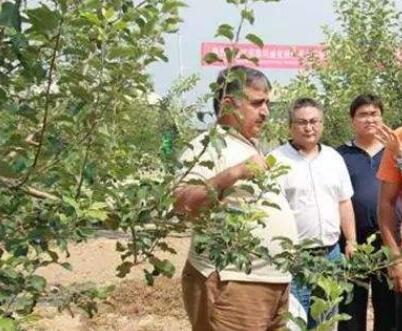 巴基斯坦总统呼吁学习中国农业技术