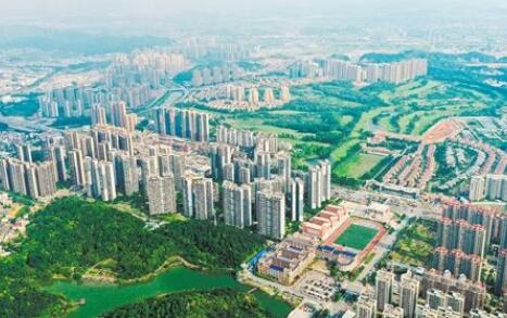 上海黄浦区区长：提升存量经济质量 推动高质量发展