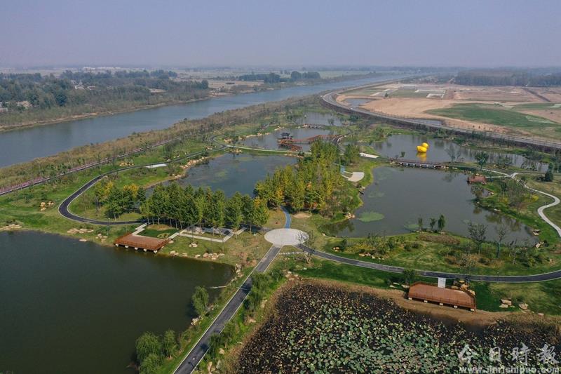 江苏徐州：黄河故道变身湿地公园