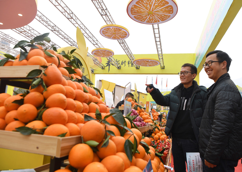 重庆奉节国际橙博会开幕