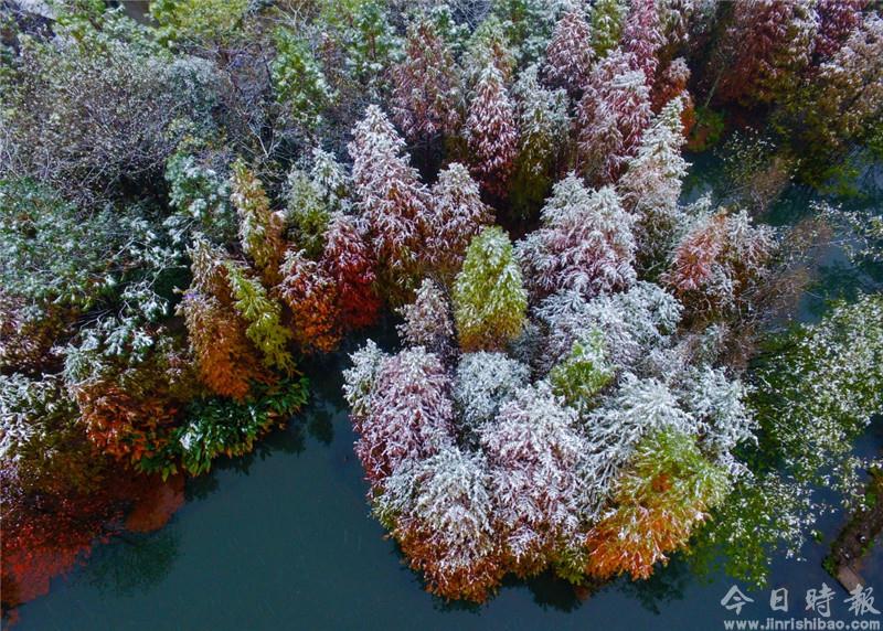 南京：雪中紫金山风景如画