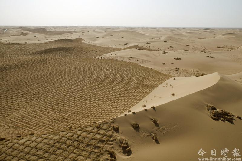冬季压沙构筑“沙漠大林带”