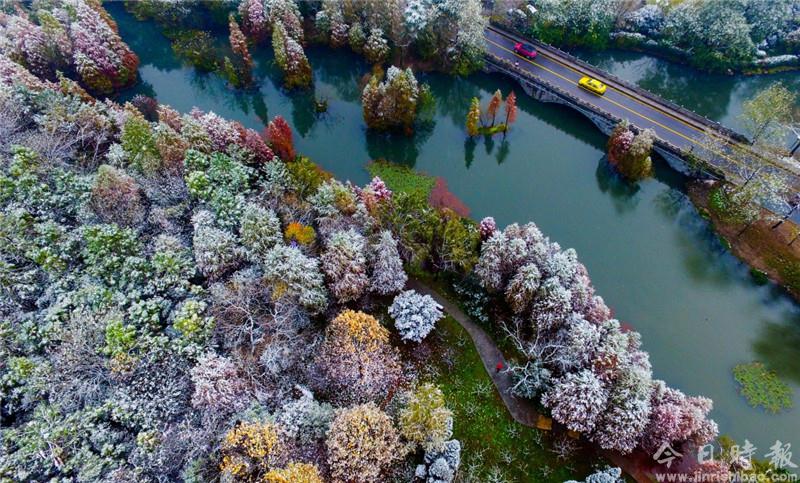 南京：雪中紫金山风景如画