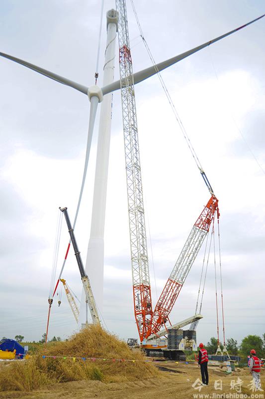 河北大城：风力发电推动绿色发展